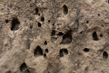 Surface of the sand rock with small and big holes made by erosion  