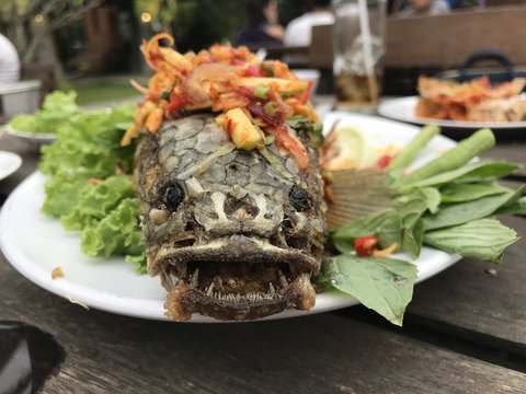 Head of snakefish on white dish after was cooked for Thai food