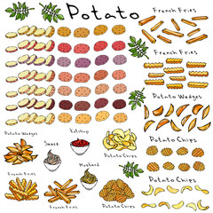 Fast Food Set. Varieties of Potatoes of Different Colors. Potato Slices and Nightshade Leaves. Potato Wedges, French Fries, Corrugated Potato Chips, Wave Chip, Ketchup, Mustard, Mayo in a Bowl.