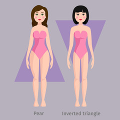 Vector illustration of different body shape types characters standing beauty figure cartoon model.