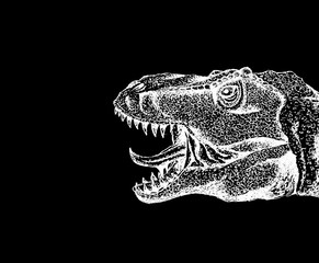 Tyrannosaurus Rex with open mouth. Dinosaur drawn with white chalk on black paper. Hand-drawn. Close up. Isolated on black background