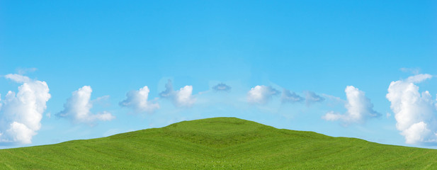 Plakat Green field and blue sky with clouds, panoramic view