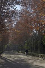 paseo por el hermoso parque de Mar&iacute;a Luisa en la ciudad de Sevilla, Andaluc&iacute;a