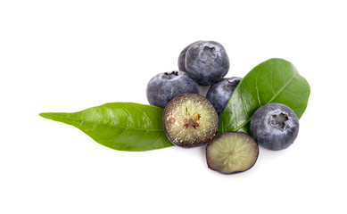 blueberries isolated on white background