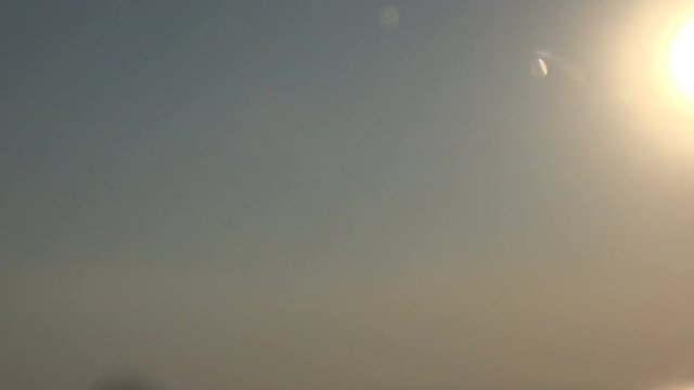 Bird heron flies over the salt lake at sunset, migration of wild birds