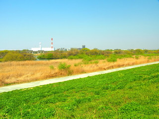 春の江戸川河川敷風景