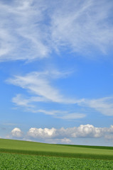 コピースペース　青空と大地　北海道美瑛