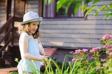 little gardener child girl helping to trim and cut spirea bush in summer garden. Seasonal yard work.