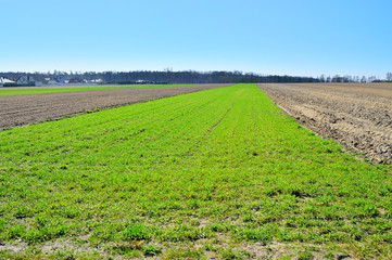 Pole zaorane i ślady maszyn rolniczych, w tle niebo, las i wioska.