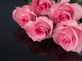 beautiful pink roses on black reflective background