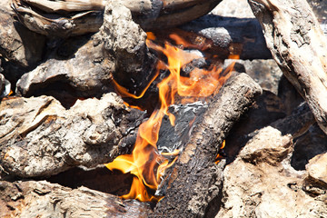 fuego preparado para hacer asados de carne  y espetos de pescados  con troncos de olivos en llamas preparándose para hacer la barbacoa