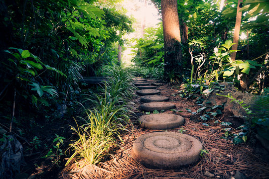 Round stones along Olle Pathway through the forest, Seogwipo, Jeju Island, Korea