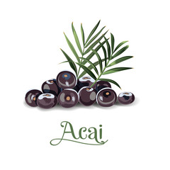 Acai berries for lables