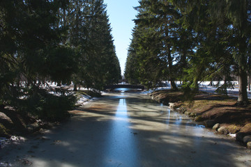 Spring ice on the channel under the water. Fir tree alley. Clear spring warm day.