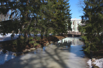 Obraz premium Spring ice on the channel under the water. Fir tree alley. Clear spring warm day.