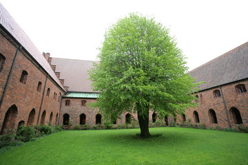  Vor Frue Monastery, a Carmelite monastery in Elsinore (Helsingør)