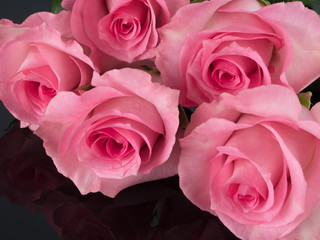 beautiful pink roses on black reflective background