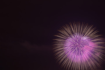 Fototapeta premium 初夏の花火