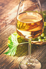 White wine in a glass with fall grapes, old wooden background, selective focus