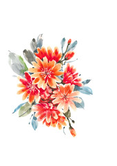 Blooming Lewisia. Decorative bouquet with orange Lewisia. Watercolor background.