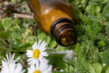 Nahaufnahme einer Flasche mit Globulin - Natur Medizin