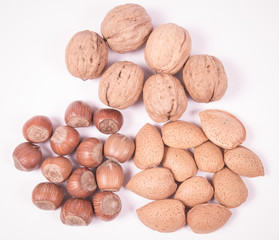 Different types of nuts in a shell on a white background.