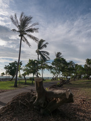 Darwin after Cyclone Marcus