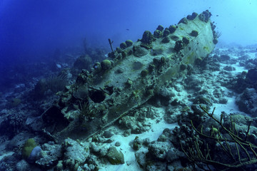 Sunken ship with coral