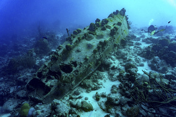 Sunken ship with  diver