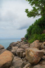 A ridge of rocks in the ocean.