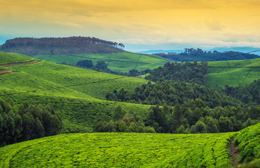 Landschaft in Afrika, Ruanda