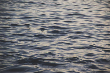 Sea ripple with evening light