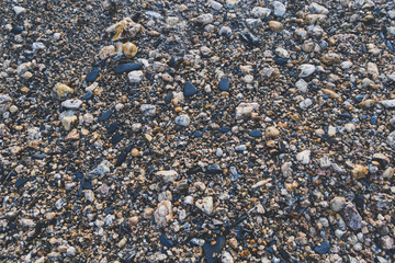 Pebble beach with sea water close up
