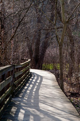 A wooden footpath in the spring in Frick Park, a city maintained park in Pittsburgh, Pennsylvania  