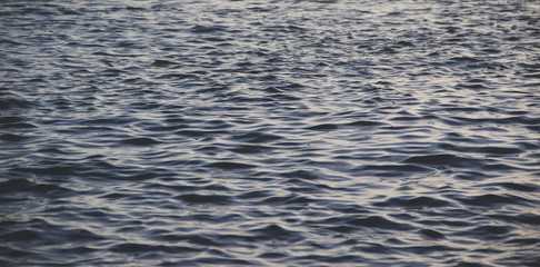 Sea ripple with evening light