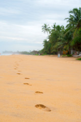 Footprints on the sand in the coastal strip.