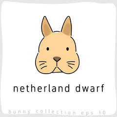 Netherland Dwarf : Rabbit Breed Collection : Vector Illustration