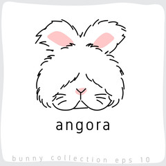 Angora : Rabbit Breed Collection : Vector Illustration