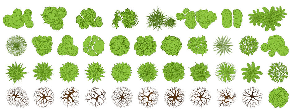 Individual plant symbols for landscape design free