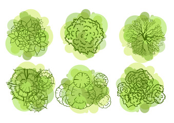 Trees top view for landscape vector illustration.