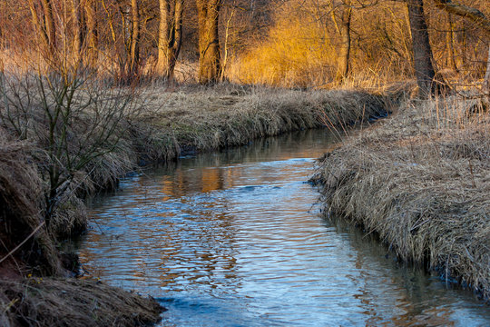 Reflection of a blue sky in a creek with thawed water in the spring April forest at sunset.