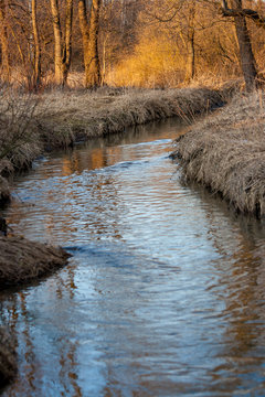 Reflection of a blue sky in a creek with thawed water in the spring April forest at sunset.