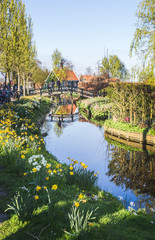 Fototapeta premium Traditional architecture in Zaanse Schans - Holland Netherlands