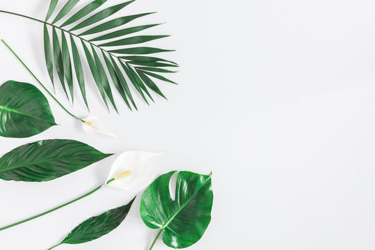 Summer tropical composition. Green tropical leaves and white flowers on gray background. Summer concept. Flat lay, top view, copy space