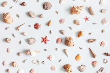 Sea shells pattern on gray background. Summer concept. Flat lay, top view