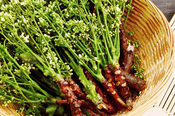 Health Benefits of Neem flower or  Indian Lilac homoeopathic medicines and Kills Head...