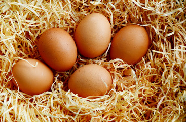 Many eggs in artificial straw with shadow