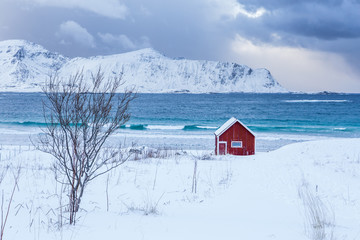 A typical house of the fishermen called rorbu on the snowy beach frames the icy sea at Ramberg Lofoten Islands, Norway Europe