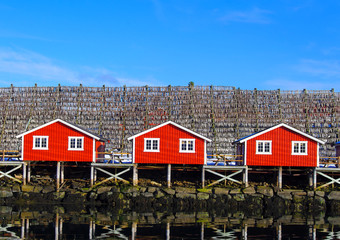 Typische Häuser auf den Lofoten