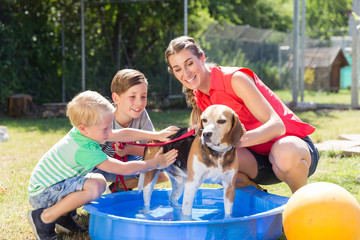 Family washing dog in pool of animal shelter taking care and playing with the animal 